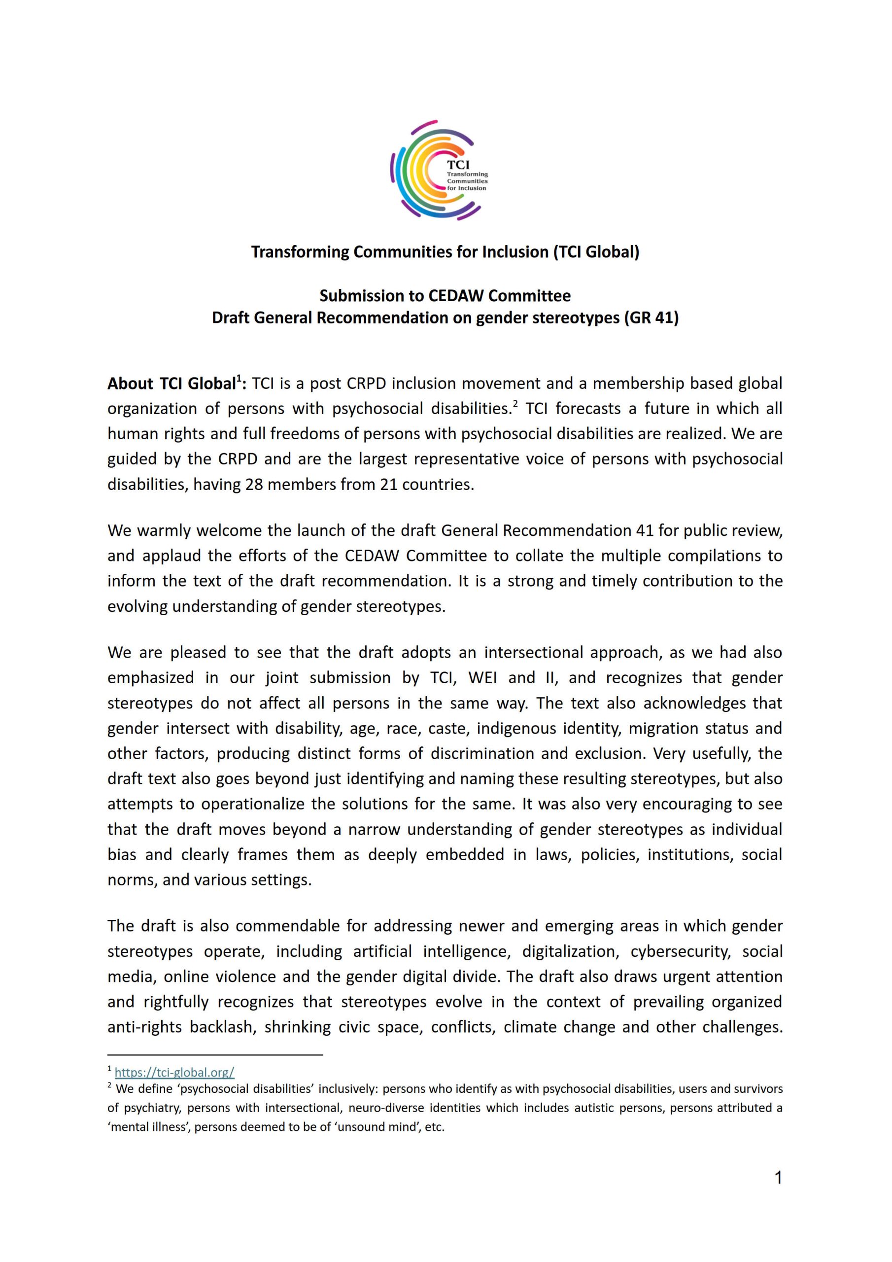 Submission to CEDAW Committee - General Recommendation on Gender Stereotypes (GR 41)